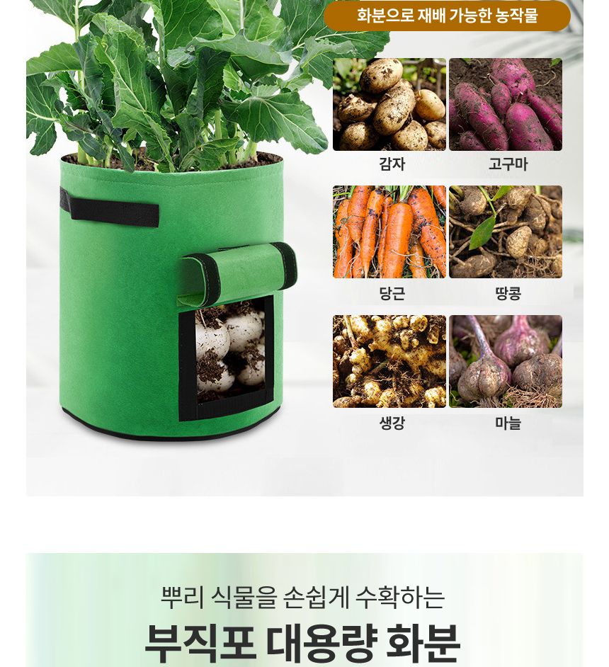 부직포 고구마 10갤런 40x30 텃밭 키우기 화분 베란다/베란다텃밭/대파키우기/집에서대파키우기/텃밭가꾸기