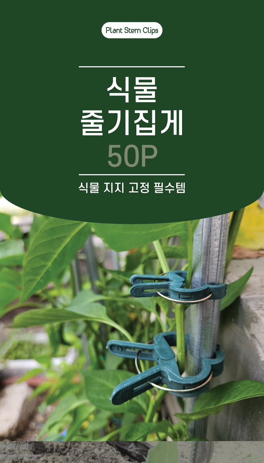 8자 식물지지클립 100P/지지대/화초지지대/식물지지대/꽃지지대/화분지지대/토마토지지대/토지지지대/화초