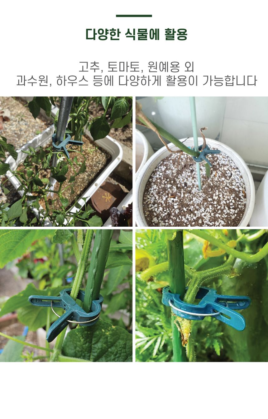 8자 식물지지클립 100P/지지대/화초지지대/식물지지대/꽃지지대/화분지지대/토마토지지대/토지지지대/화초