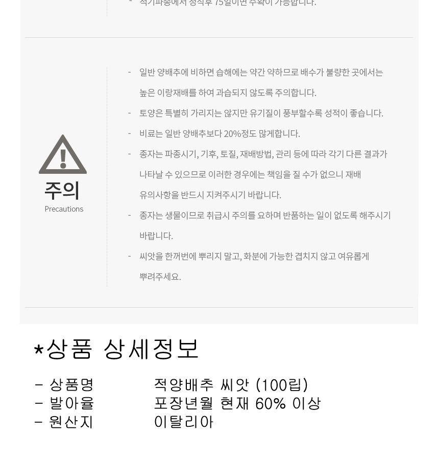빨간 적 양배추 셀러드 야채 채소 씨 종자 씨앗 100립/보라색양배추/적채/적양배추/양배추/씨/씨앗/양배추