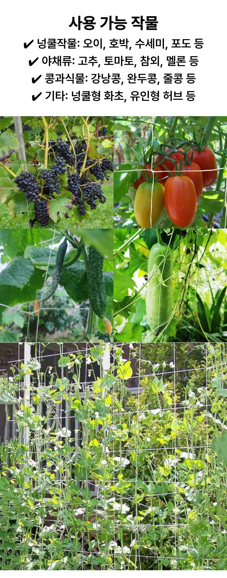오이 호박 고추용 작물 넝쿨식물 유인 그물망/식물그물망/넝쿨망/덩쿨식물그물망/넝쿨지지망/토마토유인줄/