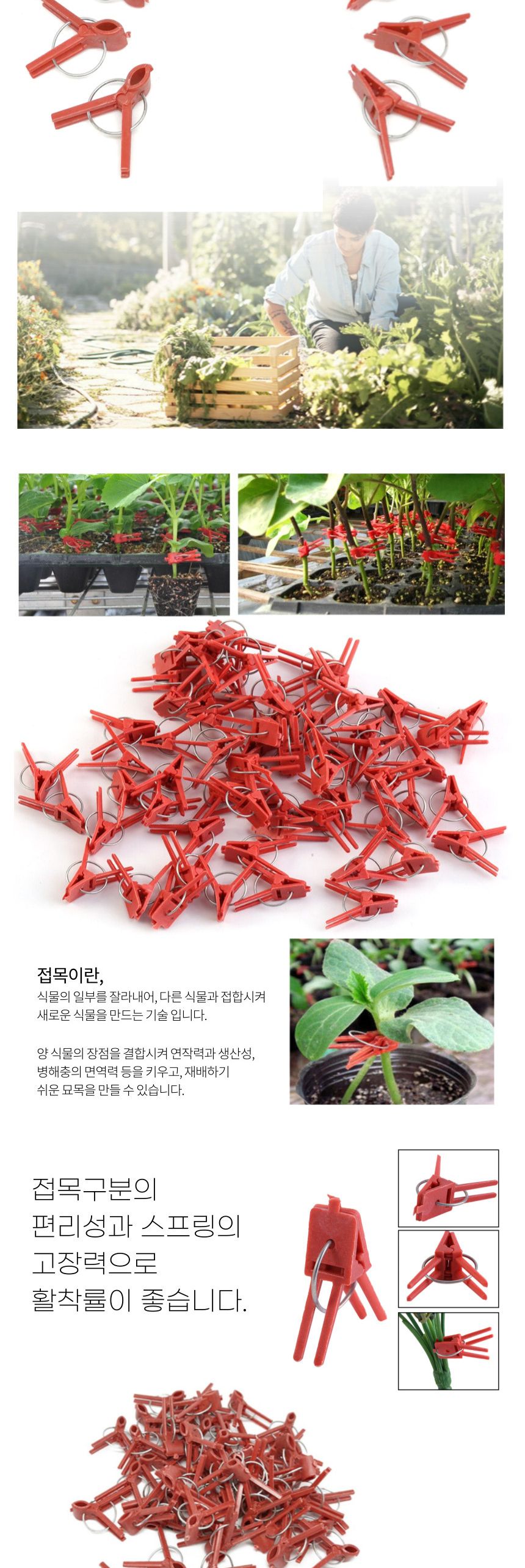 접목집게 접붙이집게 접목클립 접목크립/접목집게/접목크립/접목클립/화분용품/호박집게/접지형/농업/고추