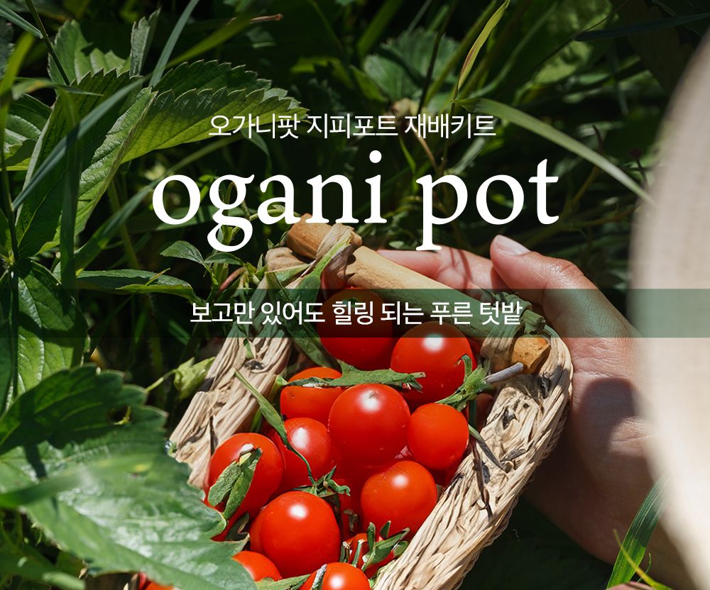 자연으로 돌아가는 오가니팟 5종 중 택1/식물키우기/식물재배기/DIY키트/홈가드닝/취미키트/반려식물/실내