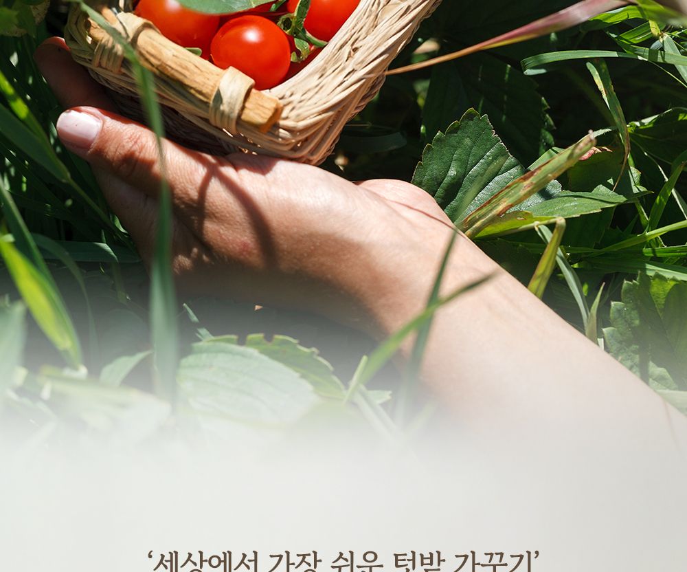 자연으로 돌아가는 오가니팟 5종 중 택1/식물키우기/식물재배기/DIY키트/홈가드닝/취미키트/반려식물/실내