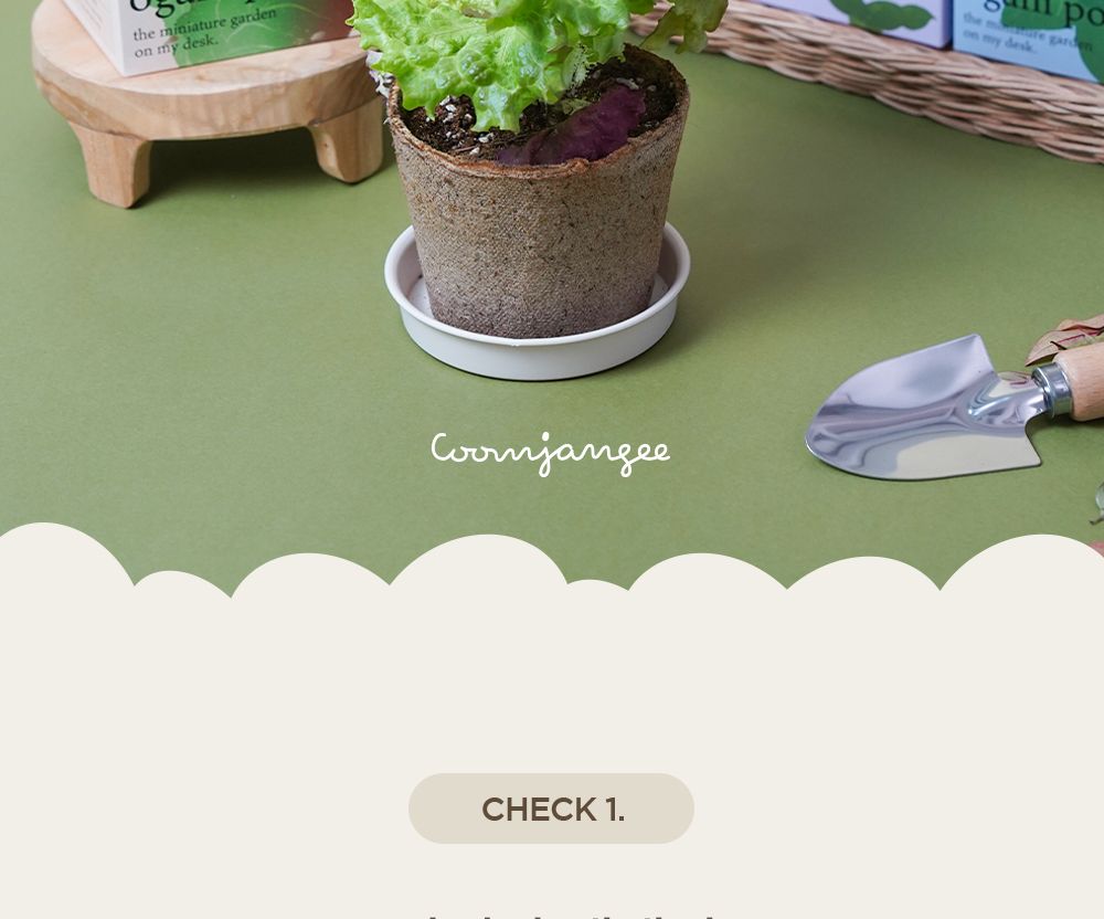 자연으로 돌아가는 오가니팟 5종 중 택1/식물키우기/식물재배기/DIY키트/홈가드닝/취미키트/반려식물/실내