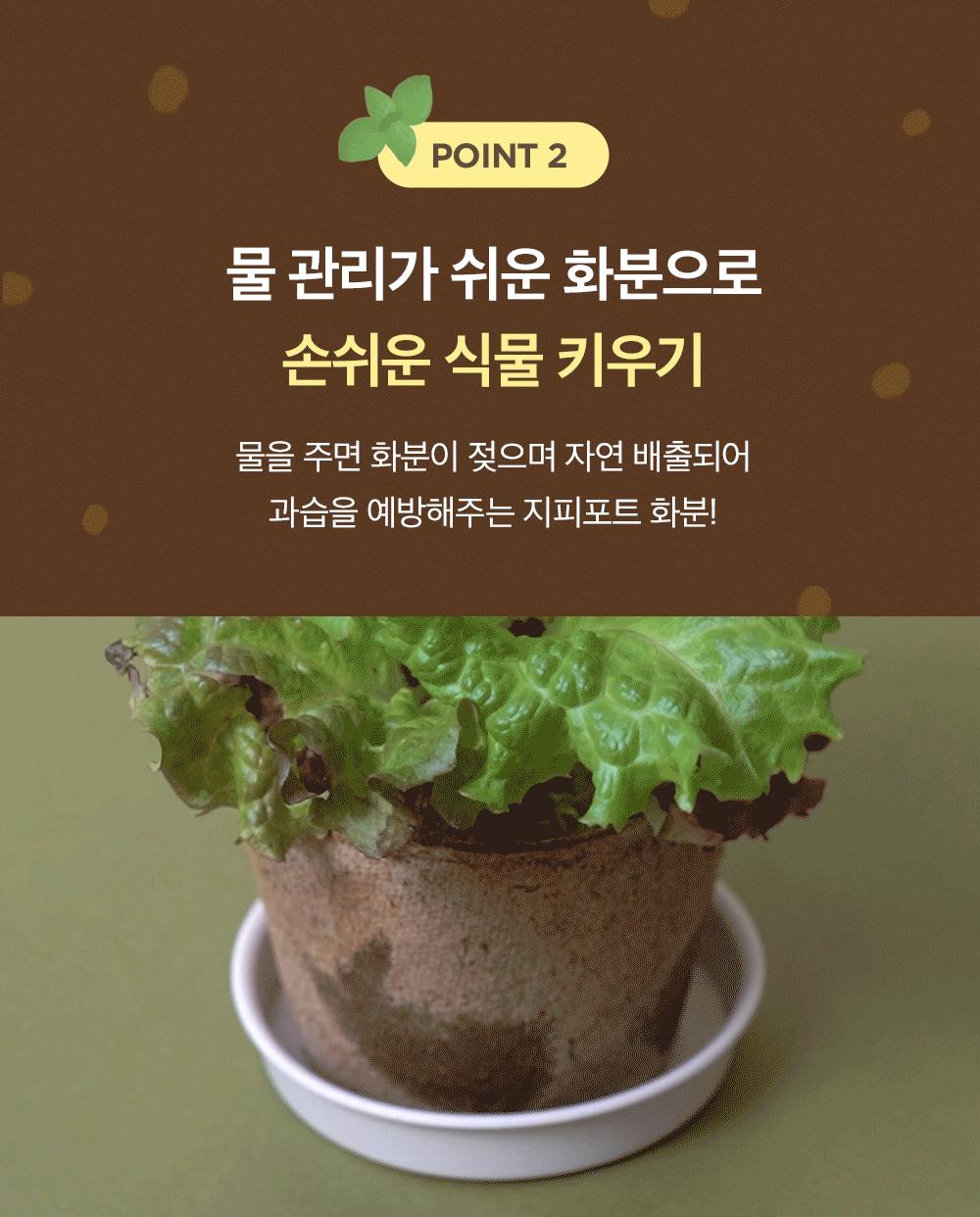 자연으로 돌아가는 오가니팟 5종 중 택1/식물키우기/식물재배기/DIY키트/홈가드닝/취미키트/반려식물/실내