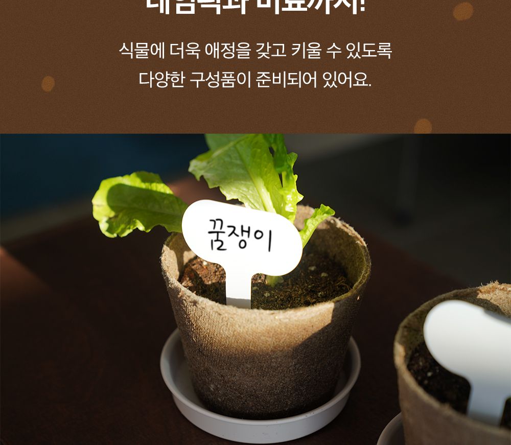 자연으로 돌아가는 오가니팟 5종 중 택1/식물키우기/식물재배기/DIY키트/홈가드닝/취미키트/반려식물/실내