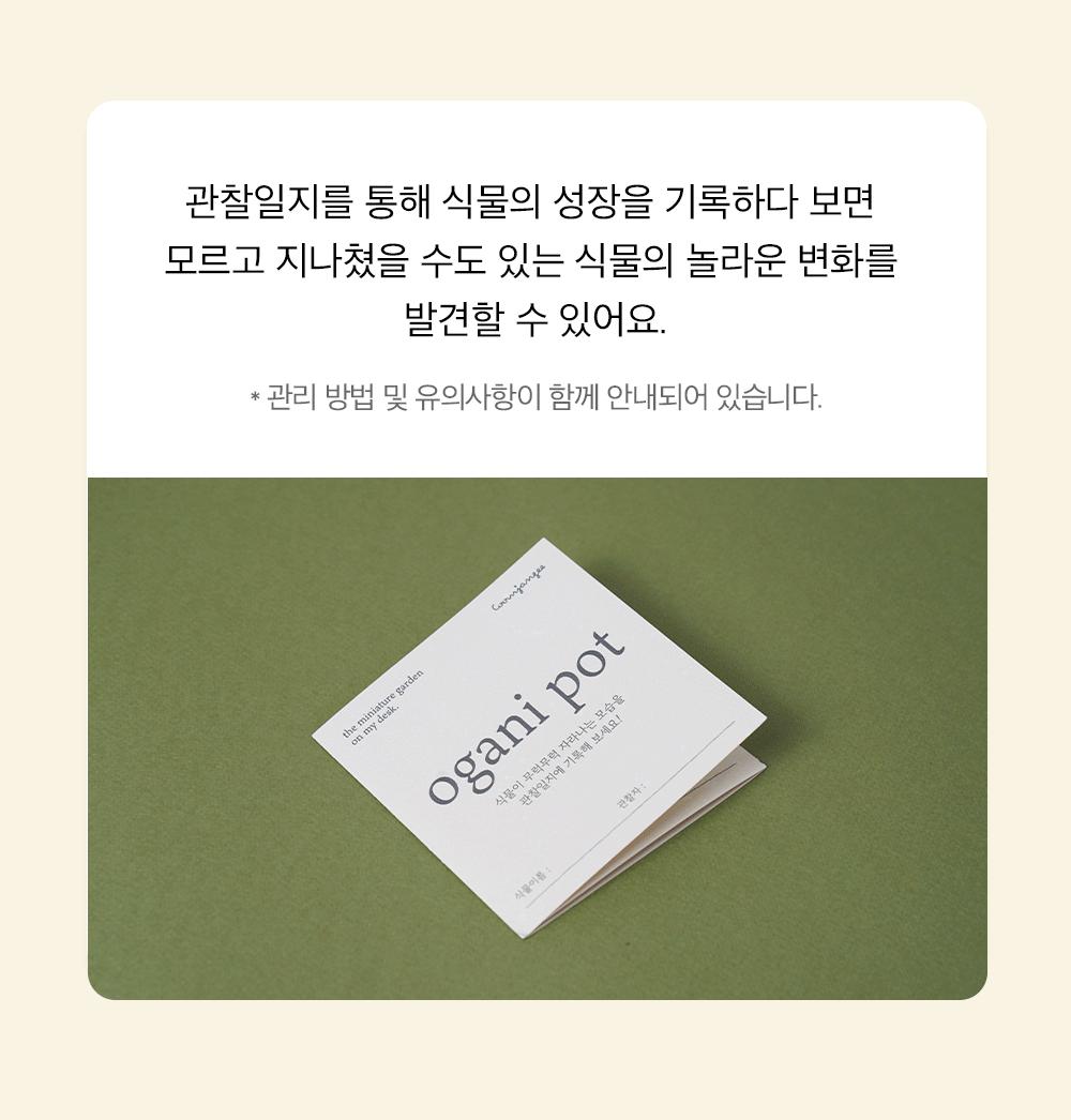 자연으로 돌아가는 오가니팟 5종 중 택1/식물키우기/식물재배기/DIY키트/홈가드닝/취미키트/반려식물/실내