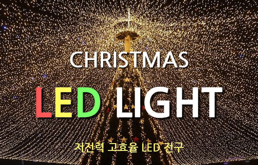 LED앵두전구 100구 투명선 녹색 점멸전원코드포함/전구/감성캠핑/가랜드전구/가렌드전구/앵두전구/캠핑전구