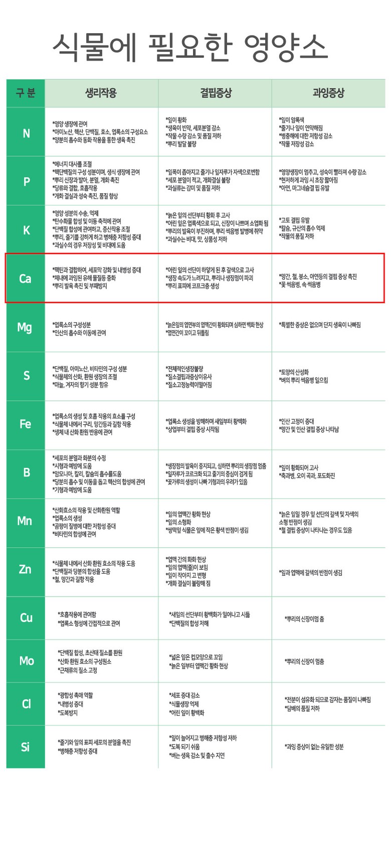 칼슘제 칼슘18 식물영양제 비료 에너비칼/식물칼슘제/칼슘비료/비료/원예비료/식물영양제/액상식물영양제/