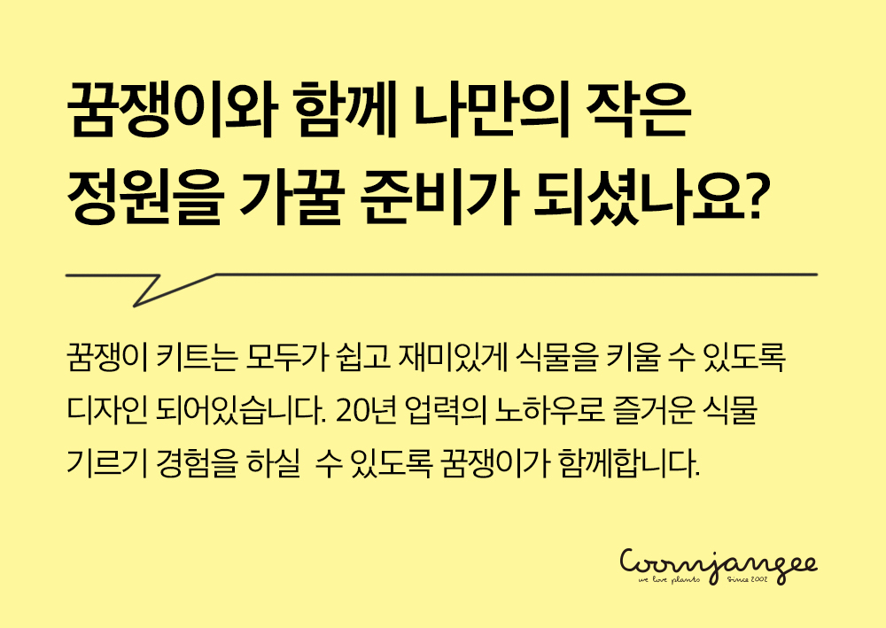 투톤 사각 화분 허브 바질/허브키우기/식물키우기/사각화분/화분허브/허브화분/미니화분/허브기르기/선물용