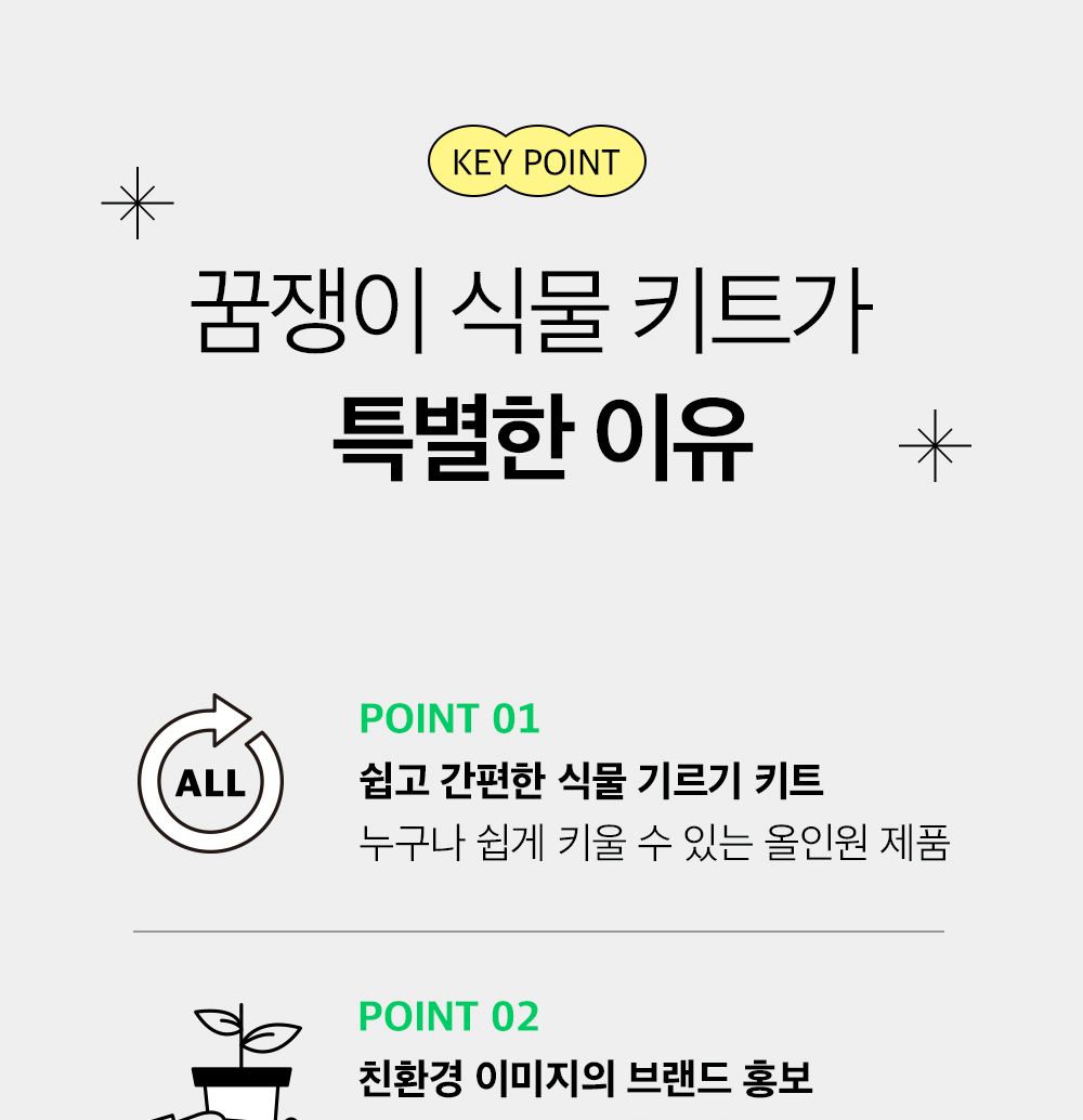 투톤 사각 화분 허브 바질/허브키우기/식물키우기/사각화분/화분허브/허브화분/미니화분/허브기르기/선물용