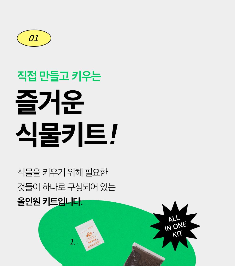 투톤 사각 화분 허브 바질/허브키우기/식물키우기/사각화분/화분허브/허브화분/미니화분/허브기르기/선물용