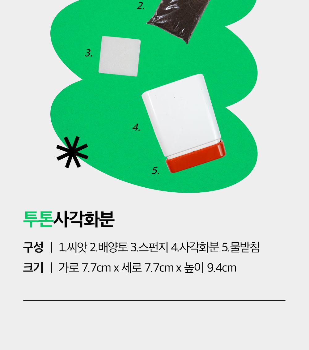 투톤 사각 화분 허브 바질/허브키우기/식물키우기/사각화분/화분허브/허브화분/미니화분/허브기르기/선물용