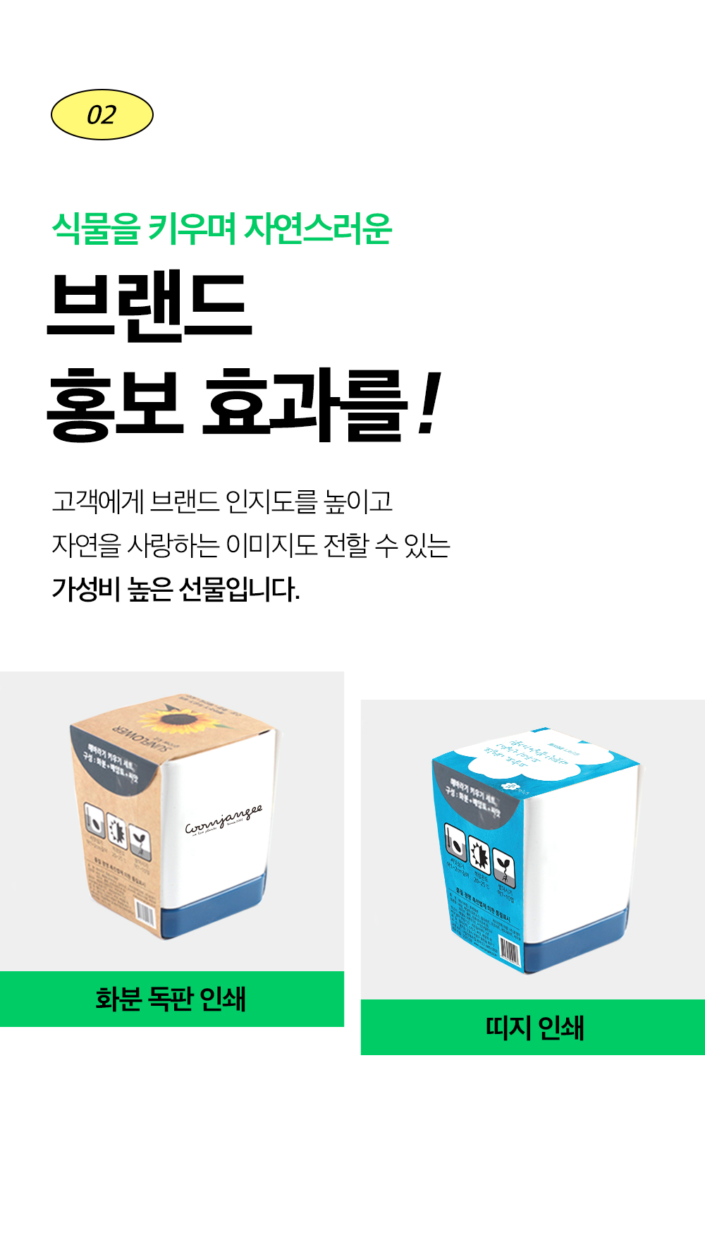 투톤 사각 화분 허브 바질/허브키우기/식물키우기/사각화분/화분허브/허브화분/미니화분/허브기르기/선물용