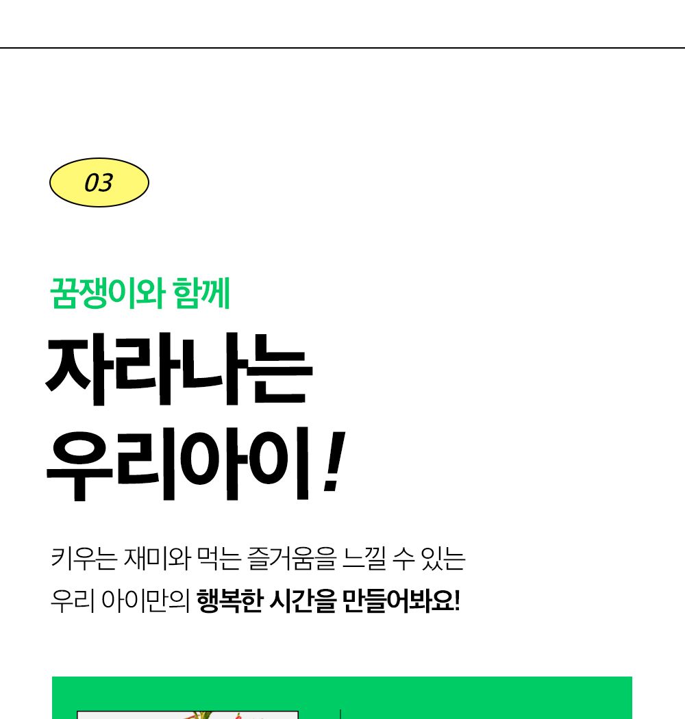 투톤 사각 화분 허브 바질/허브키우기/식물키우기/사각화분/화분허브/허브화분/미니화분/허브기르기/선물용