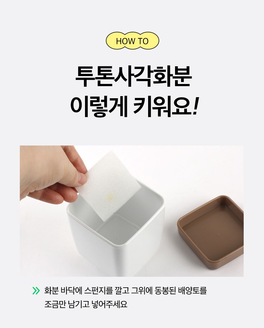 투톤 사각 화분 허브 바질/허브키우기/식물키우기/사각화분/화분허브/허브화분/미니화분/허브기르기/선물용