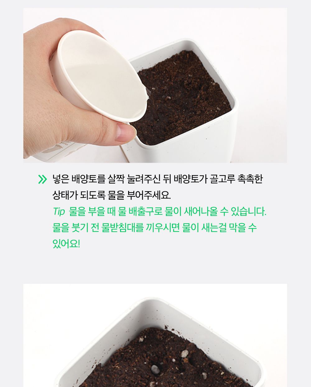 투톤 사각 화분 허브 바질/허브키우기/식물키우기/사각화분/화분허브/허브화분/미니화분/허브기르기/선물용