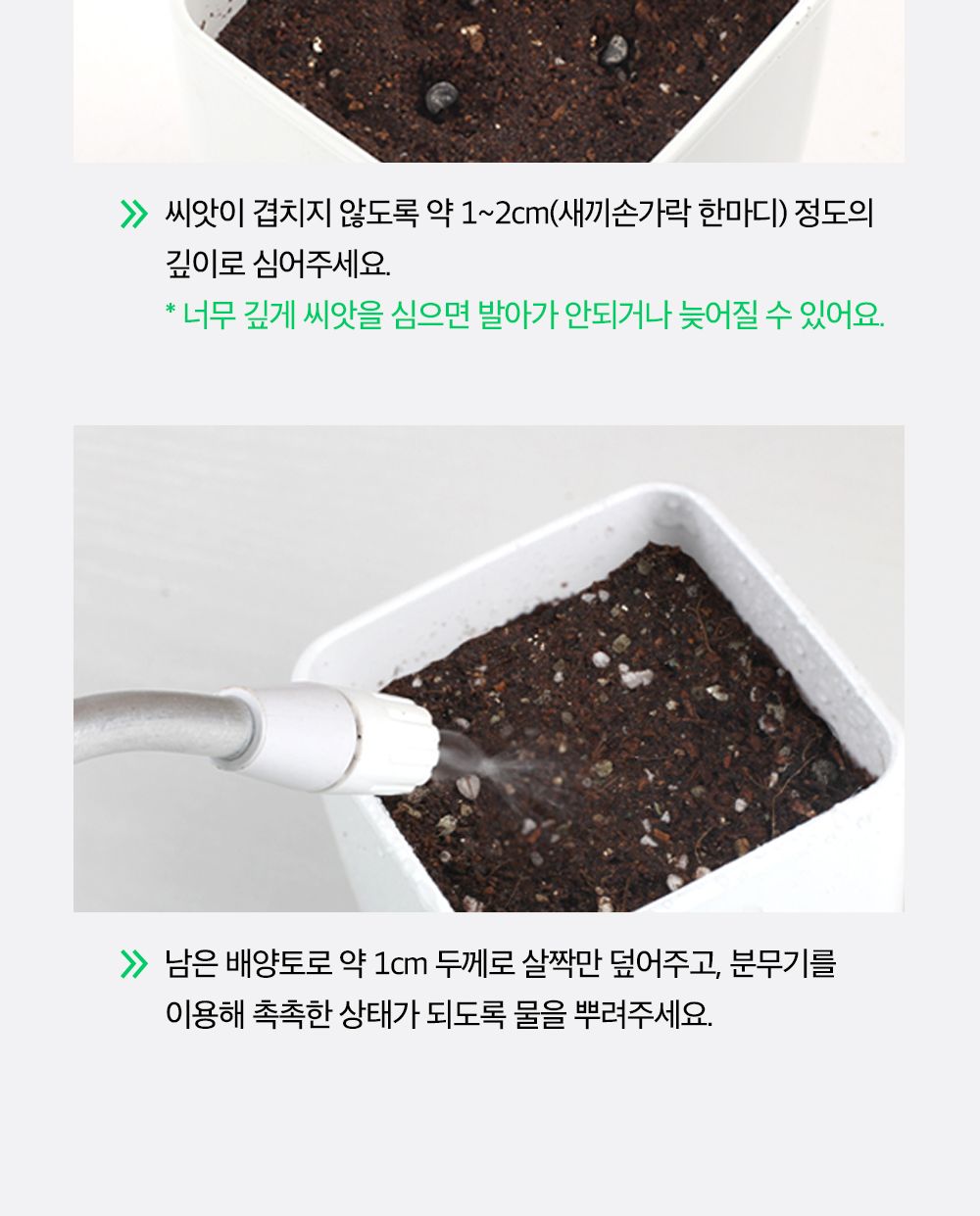 투톤 사각 화분 허브 바질/허브키우기/식물키우기/사각화분/화분허브/허브화분/미니화분/허브기르기/선물용