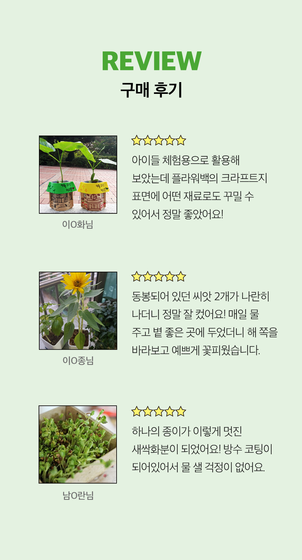 투톤 사각 화분 허브 바질/허브키우기/식물키우기/사각화분/화분허브/허브화분/미니화분/허브기르기/선물용