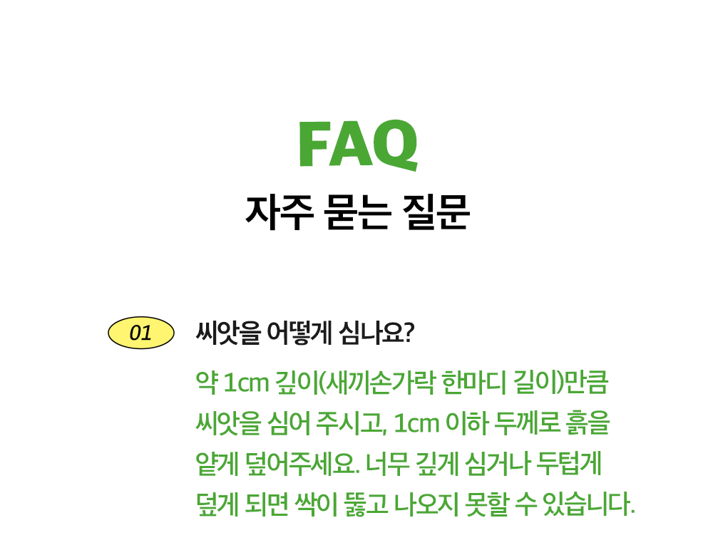 투톤 사각 화분 허브 바질/허브키우기/식물키우기/사각화분/화분허브/허브화분/미니화분/허브기르기/선물용