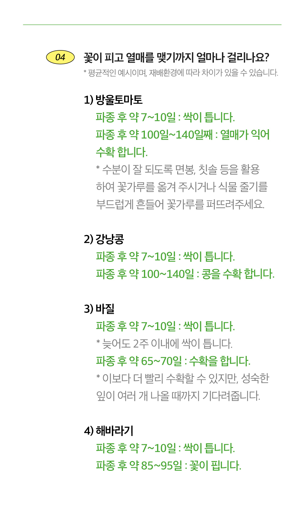투톤 사각 화분 허브 바질/허브키우기/식물키우기/사각화분/화분허브/허브화분/미니화분/허브기르기/선물용