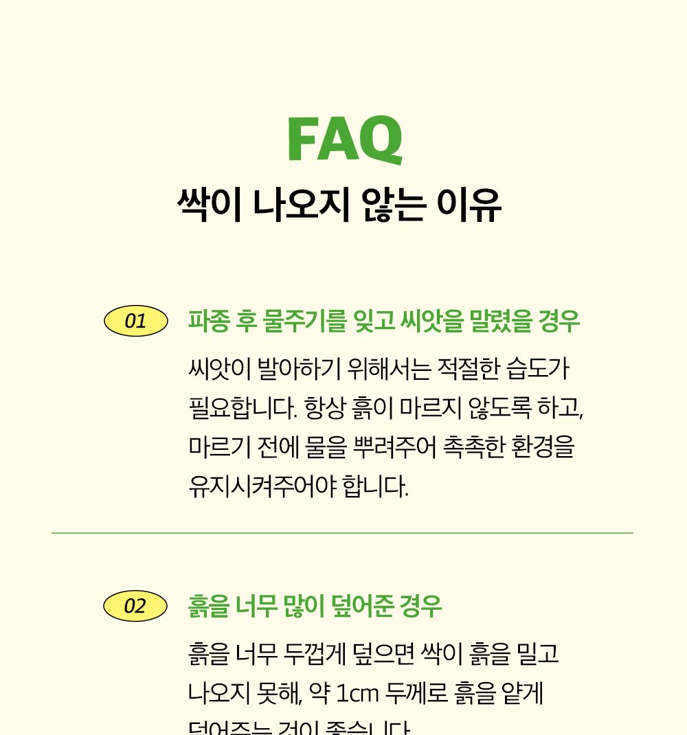 투톤 사각 화분 허브 바질/허브키우기/식물키우기/사각화분/화분허브/허브화분/미니화분/허브기르기/선물용