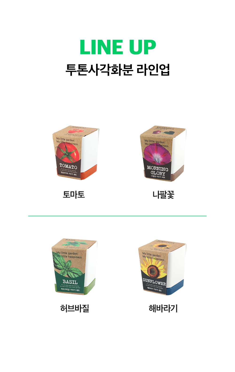 투톤 사각 화분 허브 바질/허브키우기/식물키우기/사각화분/화분허브/허브화분/미니화분/허브기르기/선물용