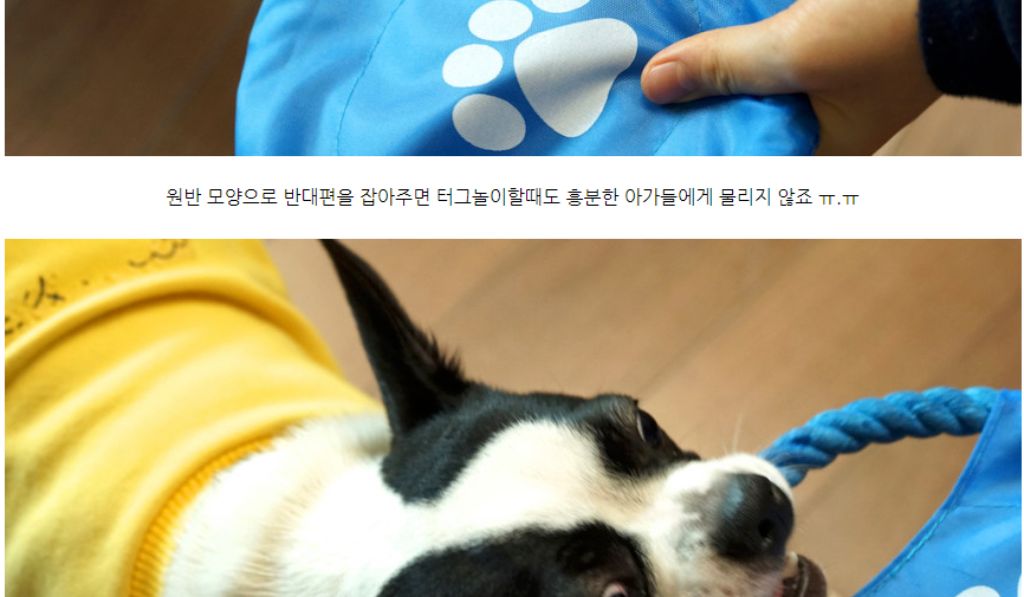 10종세트 강아지 애견 반려동물 로프 장난감/장난감/애견장난감/치석제거/치석제거토이/치실토시/치실장난