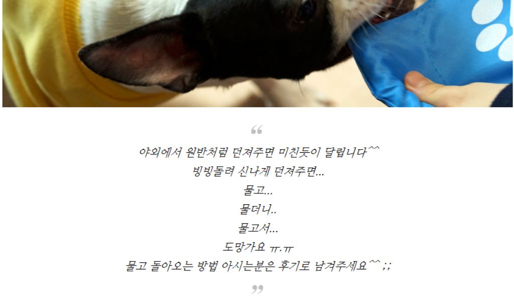 10종세트 강아지 애견 반려동물 로프 장난감/장난감/애견장난감/치석제거/치석제거토이/치실토시/치실장난