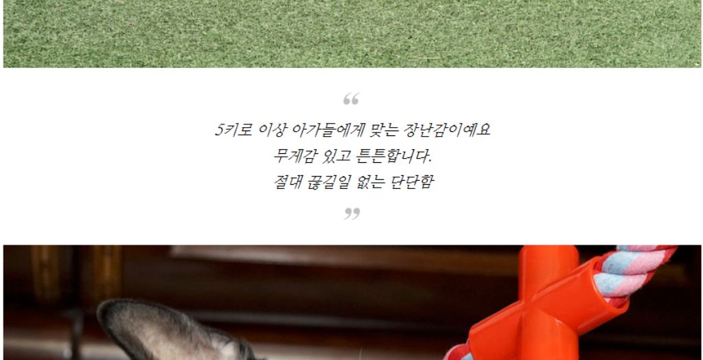 10종세트 강아지 애견 반려동물 로프 장난감/장난감/애견장난감/치석제거/치석제거토이/치실토시/치실장난