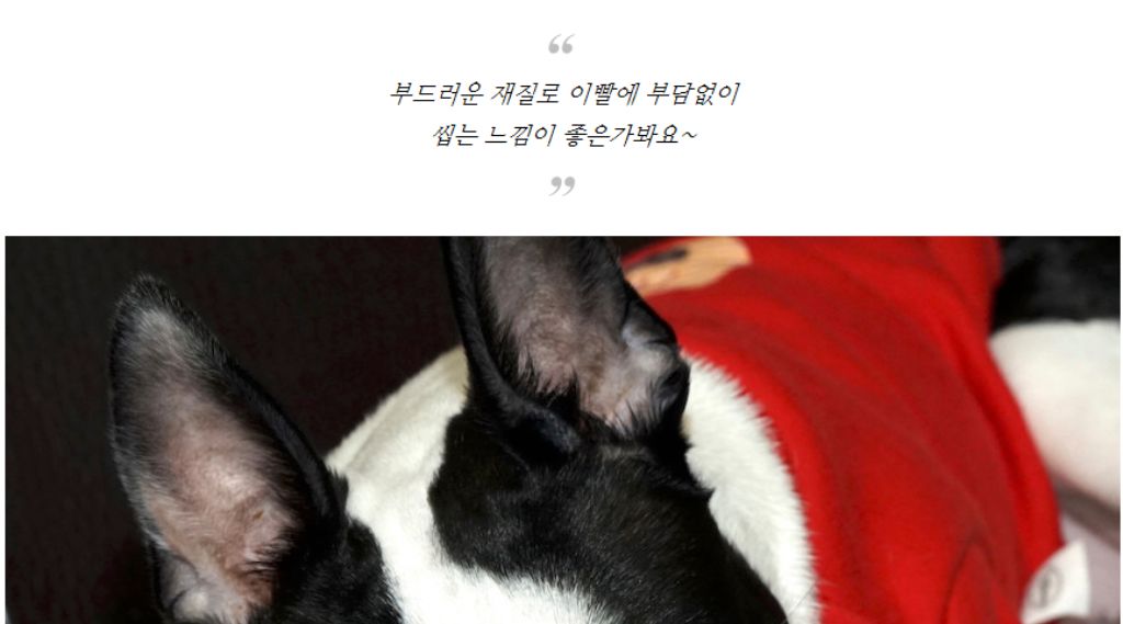 10종세트 강아지 애견 반려동물 로프 장난감/장난감/애견장난감/치석제거/치석제거토이/치실토시/치실장난