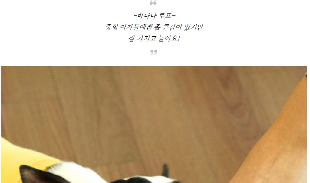 10종세트 강아지 애견 반려동물 로프 장난감/장난감/애견장난감/치석제거/치석제거토이/치실토시/치실장난
