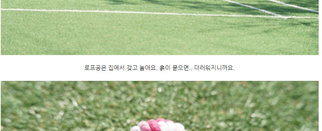 10종세트 강아지 애견 반려동물 로프 장난감/장난감/애견장난감/치석제거/치석제거토이/치실토시/치실장난