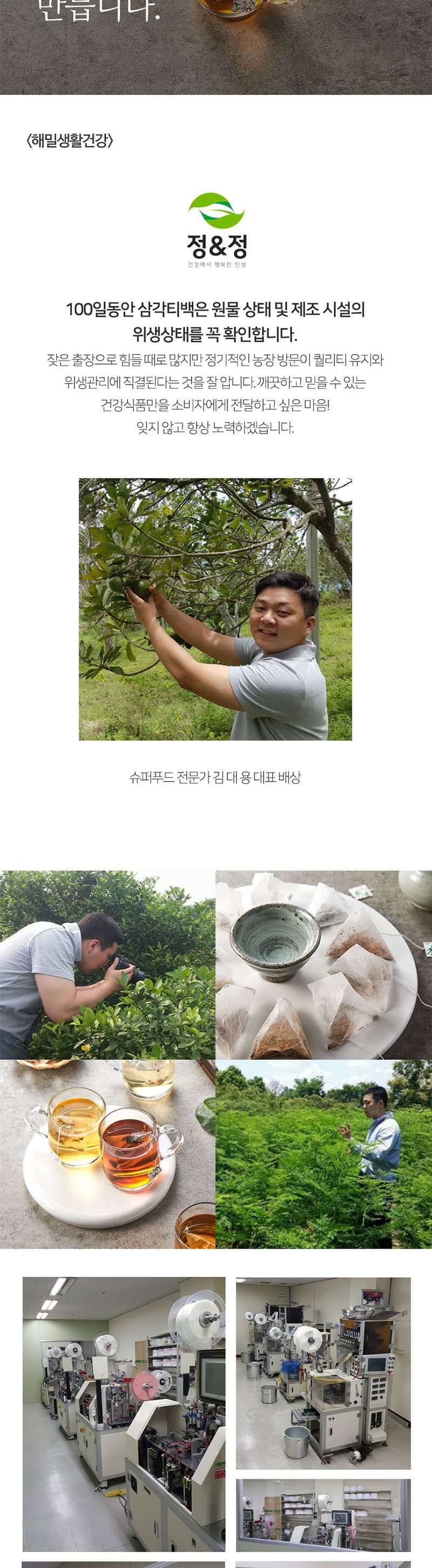 자소엽차 삼각티백 100개입/자소엽/어성초자소엽녹차/자소엽차티백/자소엽효능/자소엽추출물/티백/티백차/