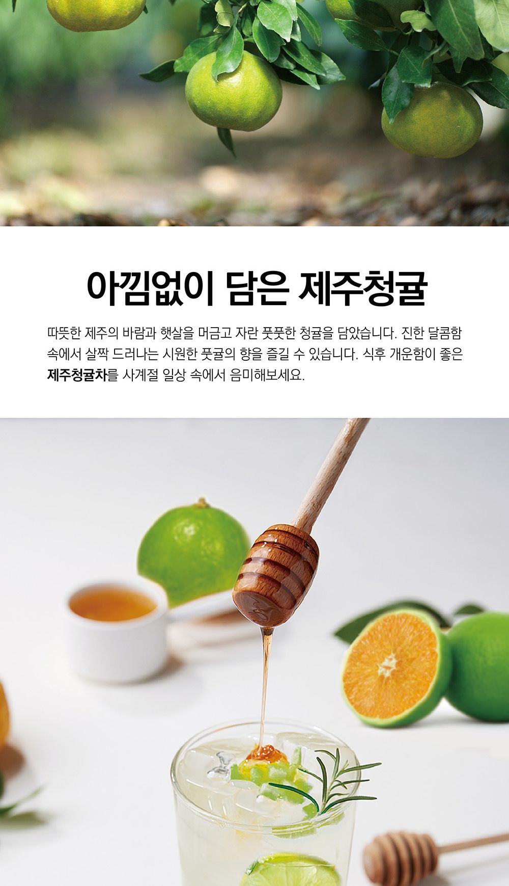 담터 제주청귤차 1kg/청귤차/꿀청귤차/달달한차/꿀청귤차/꿀청귤차액상/청귤차액상/청귤청/귤차/청귤/청귤