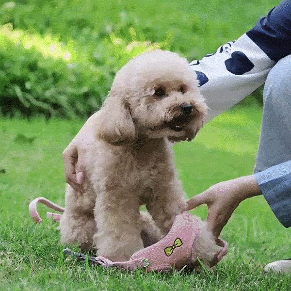 (BND-A12) 리본 코듀로이 하네스/하네스/가슴줄/강아지산책줄/산책줄/리드줄/목줄/소형견하네스/가벼운하네