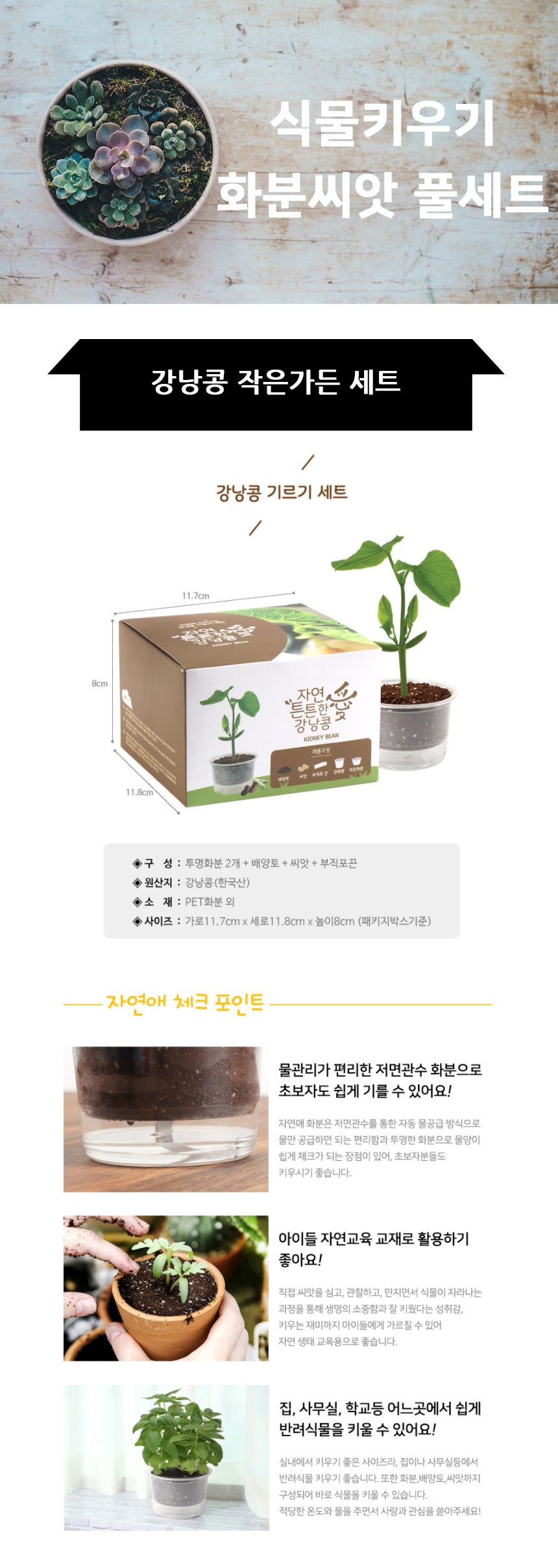 자동물공급 삼투압화분 강낭콩씨앗 흙 세트/자동급수화분/자연학습교구/물공급화분/어린이화분만들기/과학