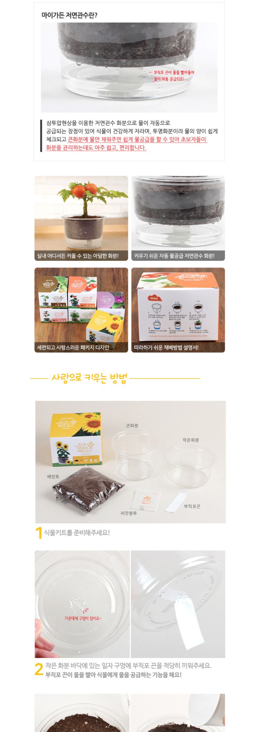 자동물공급 삼투압화분 강낭콩씨앗 흙 세트/자동급수화분/자연학습교구/물공급화분/어린이화분만들기/과학