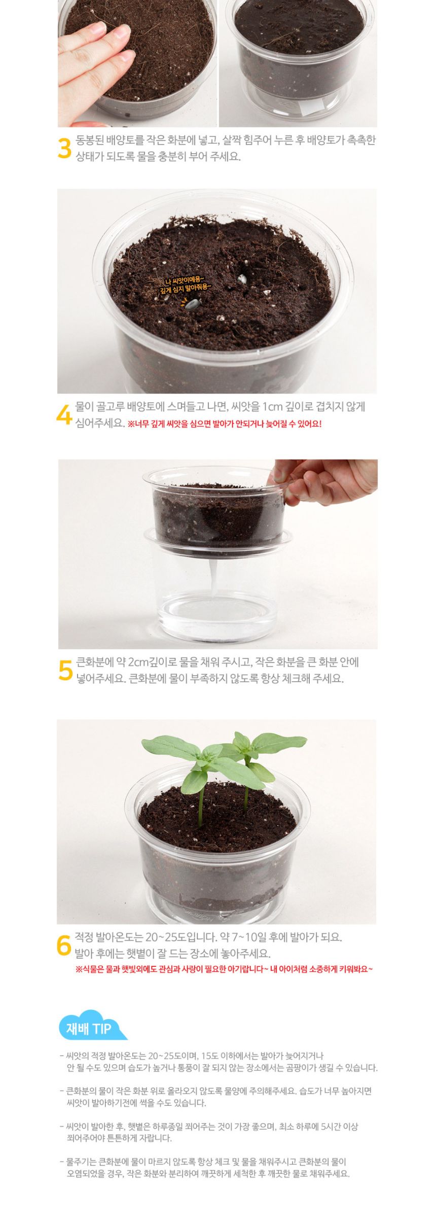 자동물공급 삼투압화분 강낭콩씨앗 흙 세트/자동급수화분/자연학습교구/물공급화분/어린이화분만들기/과학