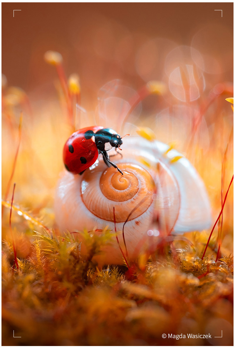 77MM필터/디카렌즈/자외선차단필터/디카필터/UV필터/호환필터/자외선차단/자외선차단렌즈/77렌즈필터/77미