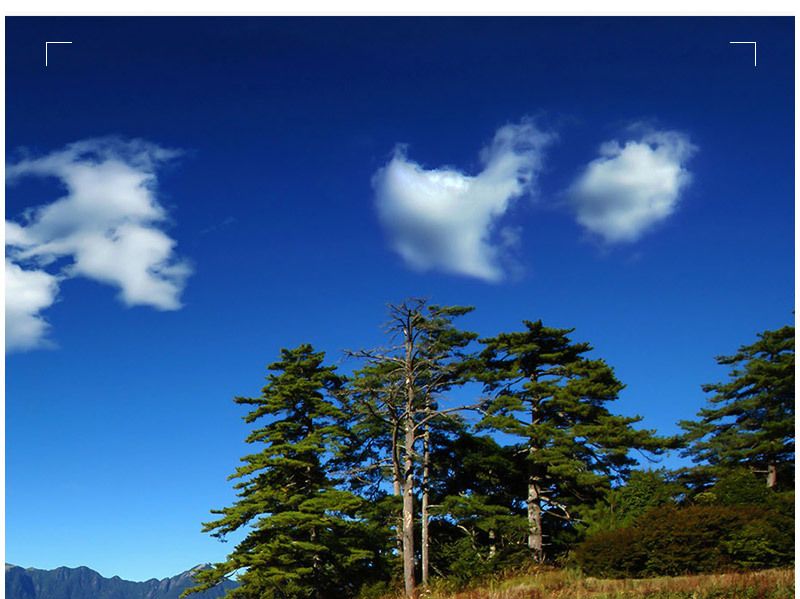 77MM필터/디카렌즈/자외선차단필터/디카필터/UV필터/호환필터/자외선차단/자외선차단렌즈/77렌즈필터/77미