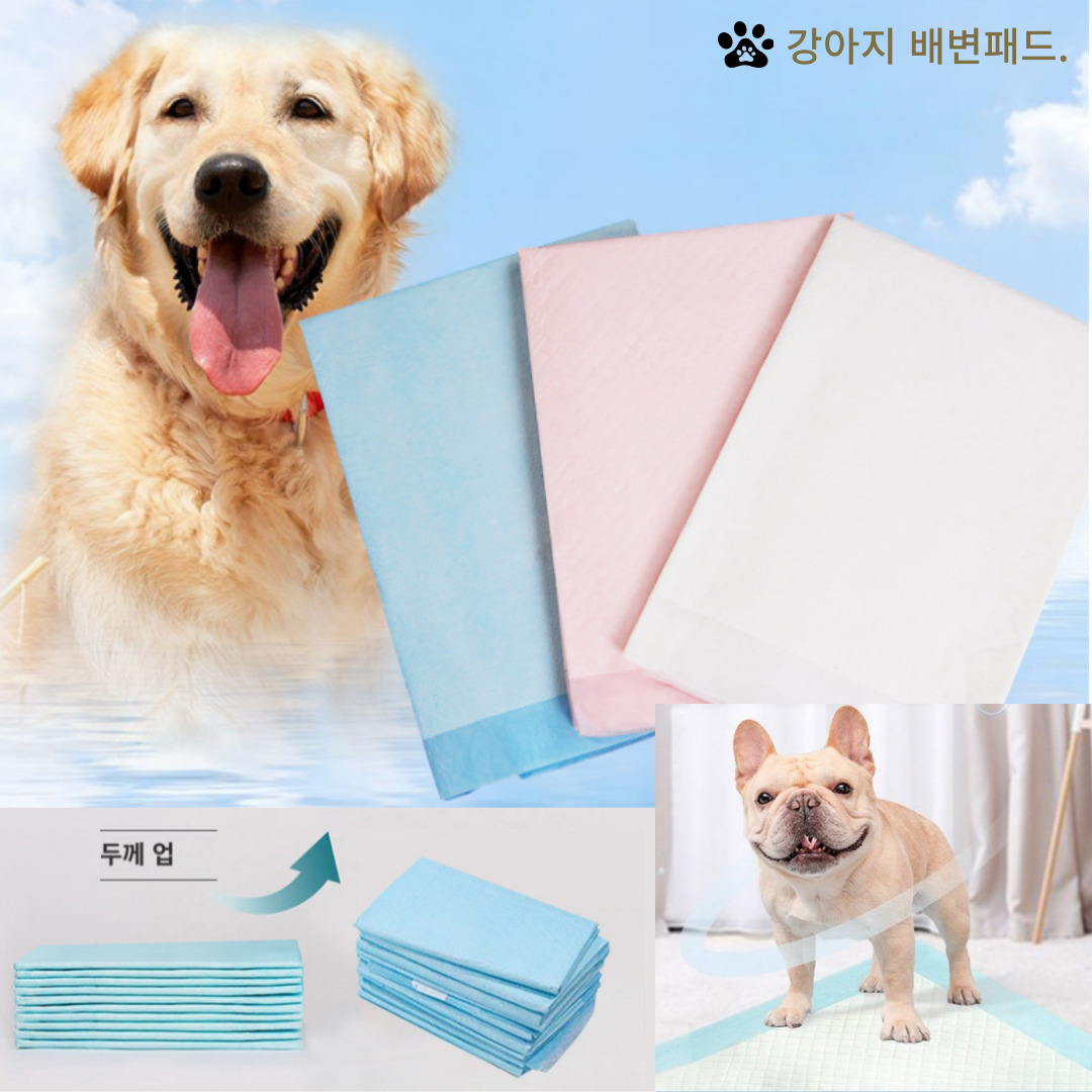 알뜰살뜰강아지배변패드블루(특대형Lx60x90cmx20매)/강아지패드/대형배변판/대형배변패드/애견배변패드/강