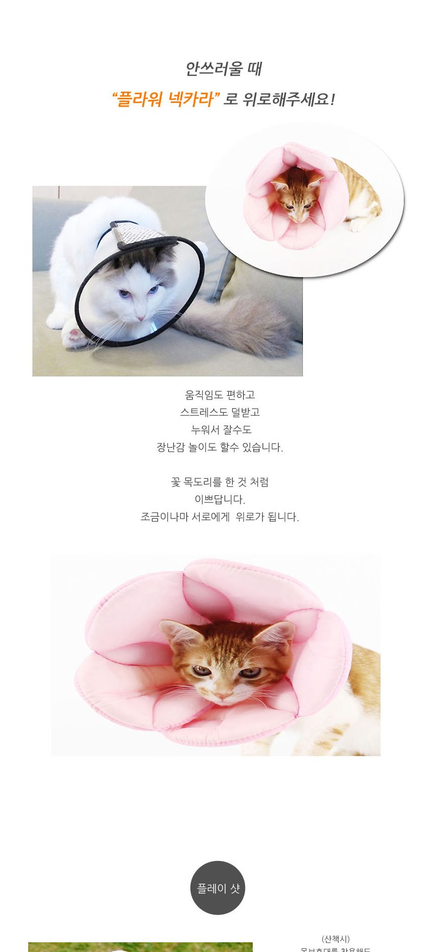 강아지 고양이 핥음방지 넥카라 XL/강아지넥카라/애견넥카라/애견목보호대/강아지목보호대/고양이목보호대/
