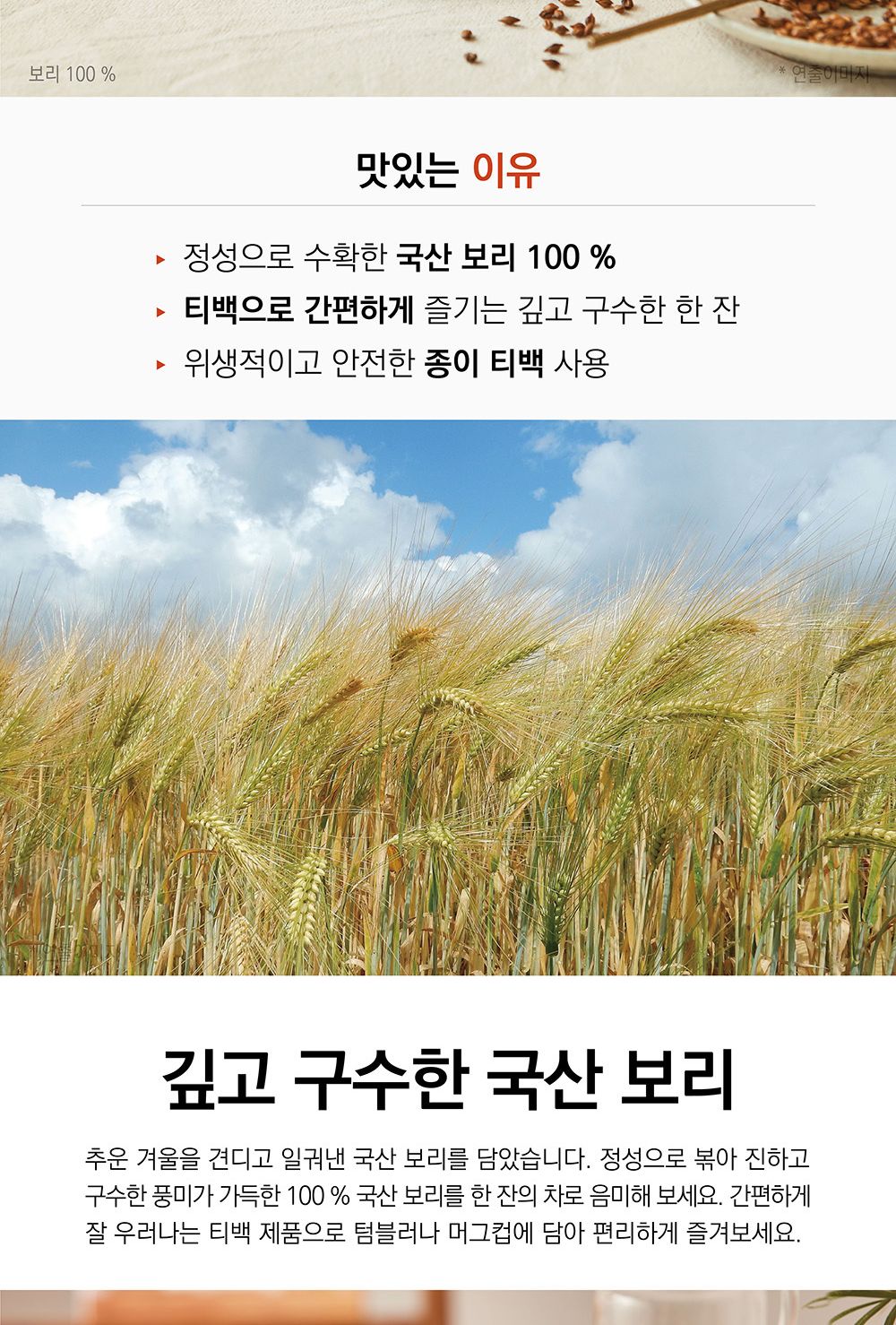 (1+1행사) 담터 보리차 100티백 물대용/고급보리차/사무실보리차/티백보리차/보리차티백/맛있는보리차/가정