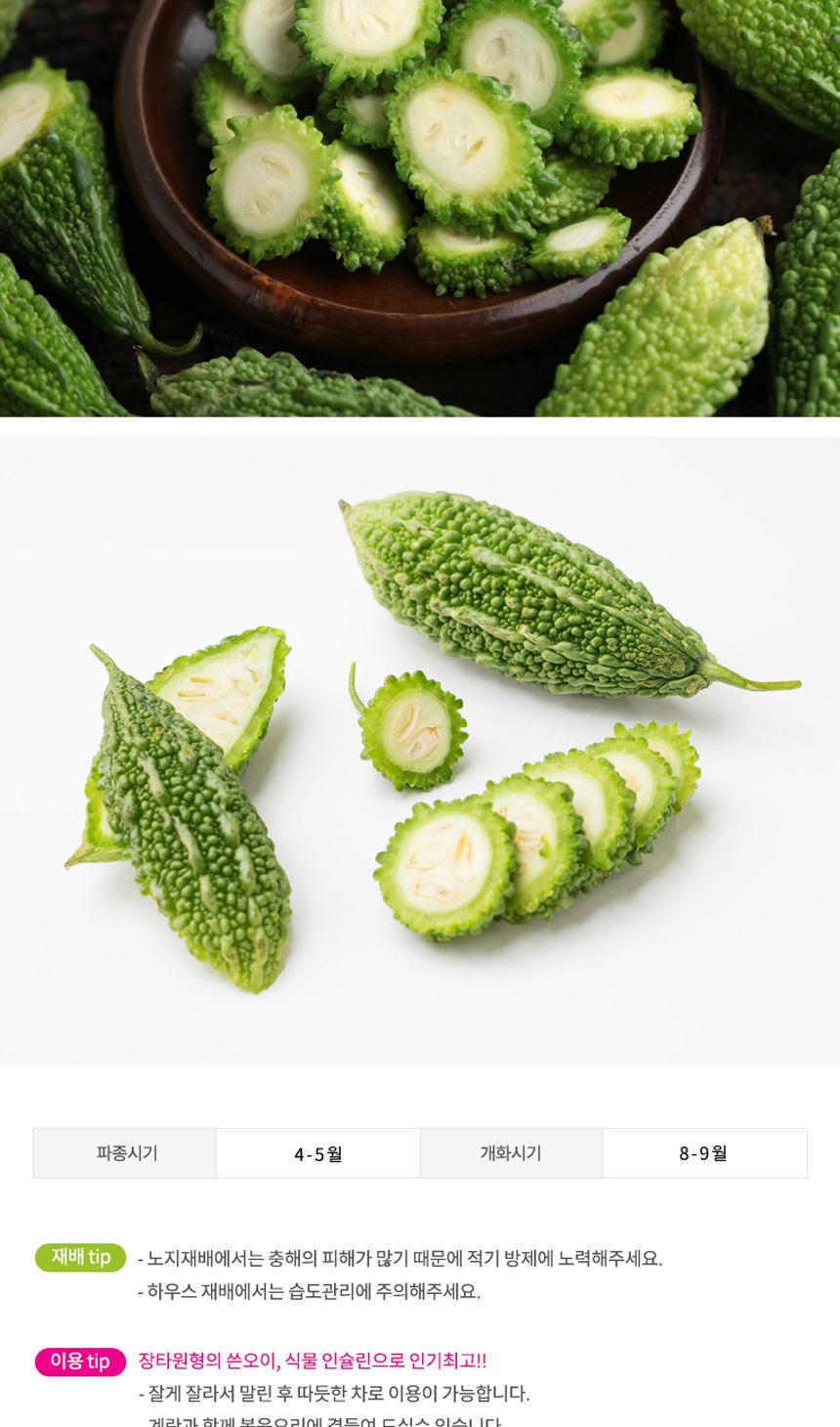 여주씨앗 채소 야채 씨앗 식물 종자 열매채소 10립/여주/여주키우기/여주씨/여주종자/여주종자/씨/씨앗/종