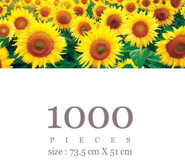 1000피스 직소퍼즐 해바라기 들판6 AL3005/해바라기그림/해바라기퍼즐/그림퍼즐/거실액자퍼즐/액자용퍼즐/