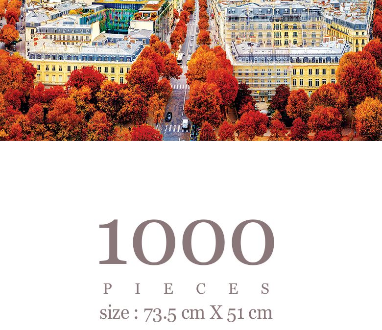 1000피스 직소퍼즐 파리의 가을 AL3001/그림퍼즐/거실액자퍼즐/액자용퍼즐/퍼즐/취미퍼즐/직소퍼즐/종이퍼