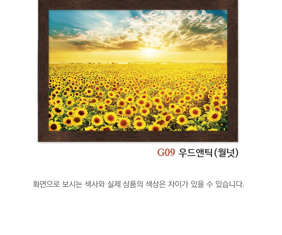 1000피스 직소퍼즐 해바라기 들판7 AL3010/해바라기그림/해바라기퍼즐/그림퍼즐/거실액자퍼즐/액자용퍼즐/