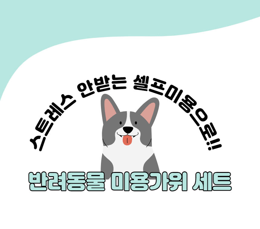 블루윙 애견 미용가위 3종세트 반려동물 애완용품/가위/강아지가위/애견가위/애견미용가위/반려견가위/셀프